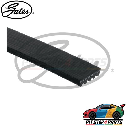 For honda jazz - honda, belts
